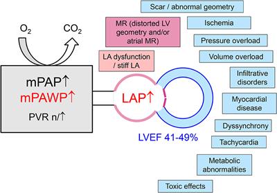 Pulmonary Hypertension in Patients With Heart Failure With Mid-Range Ejection Fraction